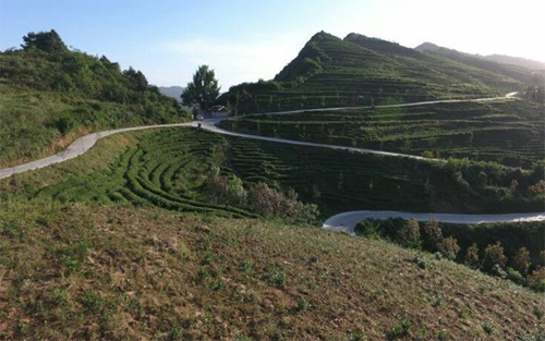 自然地理数据